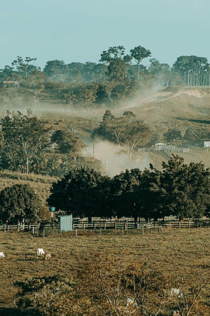 Optimización de mantenimiento rural para una finca productiva