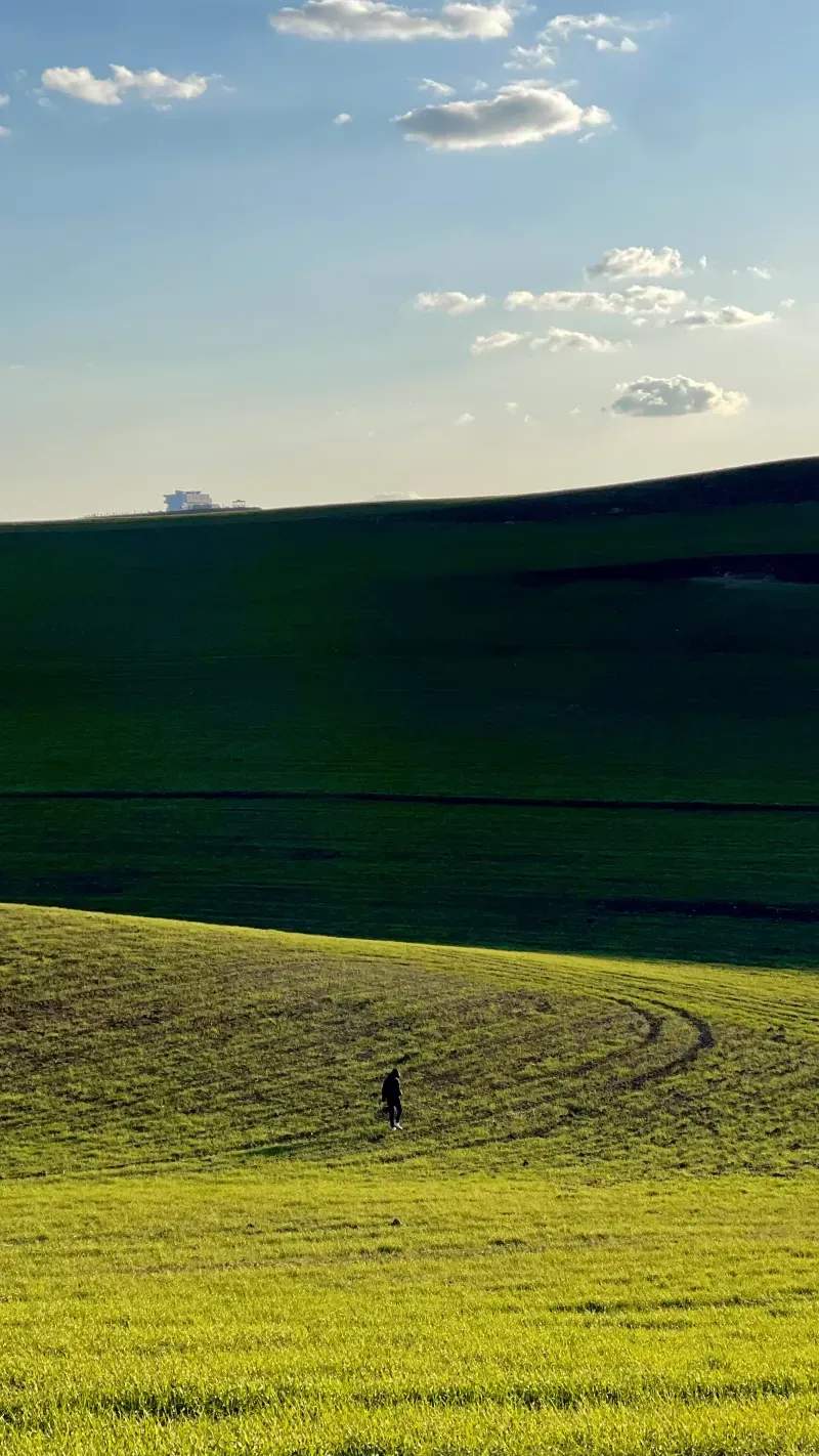 Apoyo integral para la recuperación de áreas agrícolas