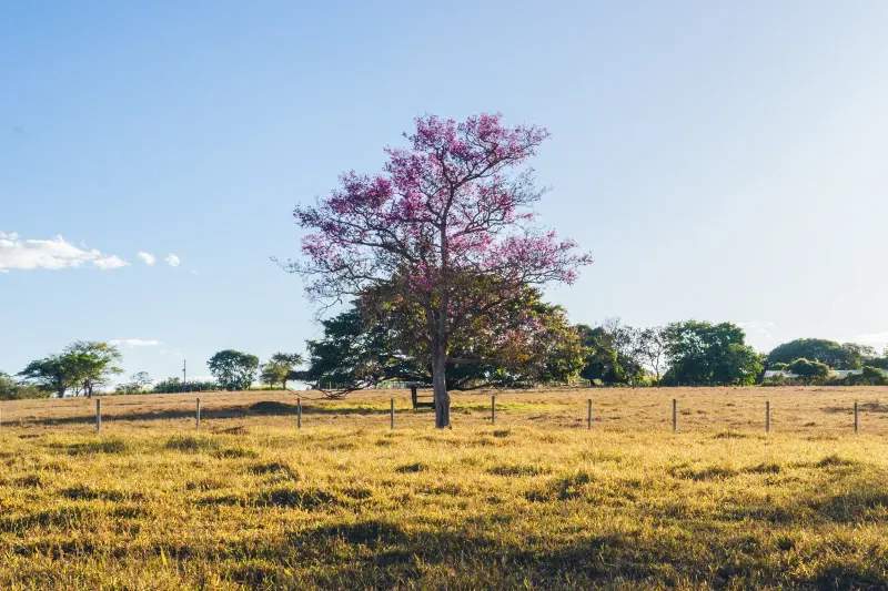 Campos del Sol Servicios Rurales 8